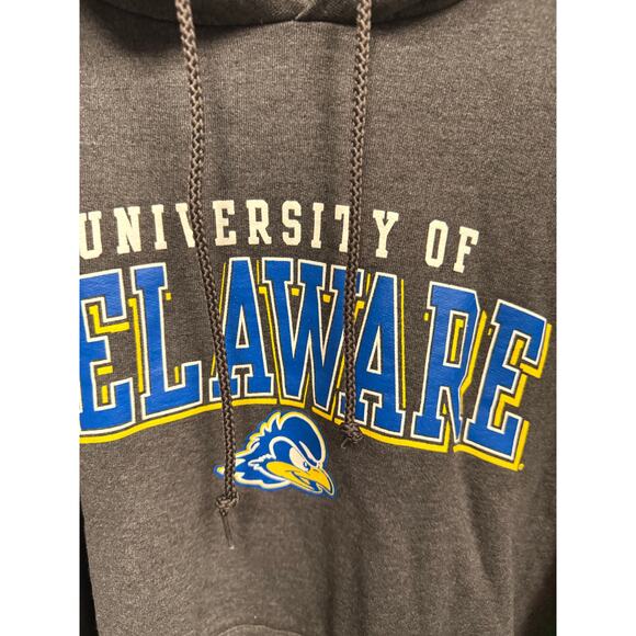 Y2K University Delaware Champion Sz small sweatshirt UNISEX - Picture 2 of 7